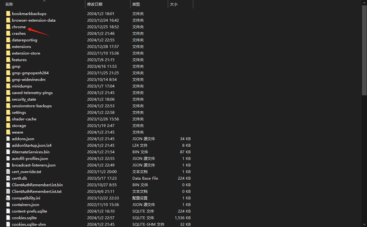 新建chrome文件夹